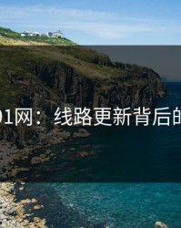 揭秘91网：线路更新背后的真相