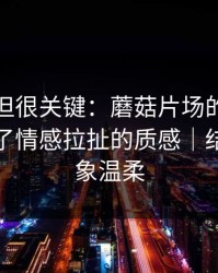 没人讲但很关键：蘑菇片场的数据复盘决定了情感拉扯的质感｜结果比想象温柔