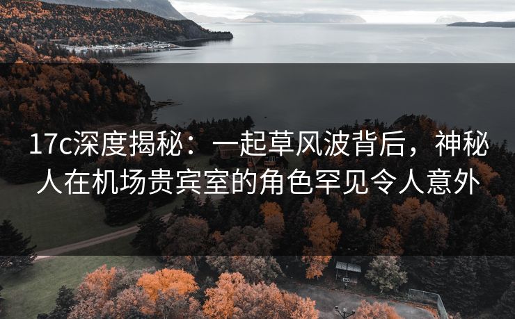 17c深度揭秘：一起草风波背后，神秘人在机场贵宾室的角色罕见令人意外