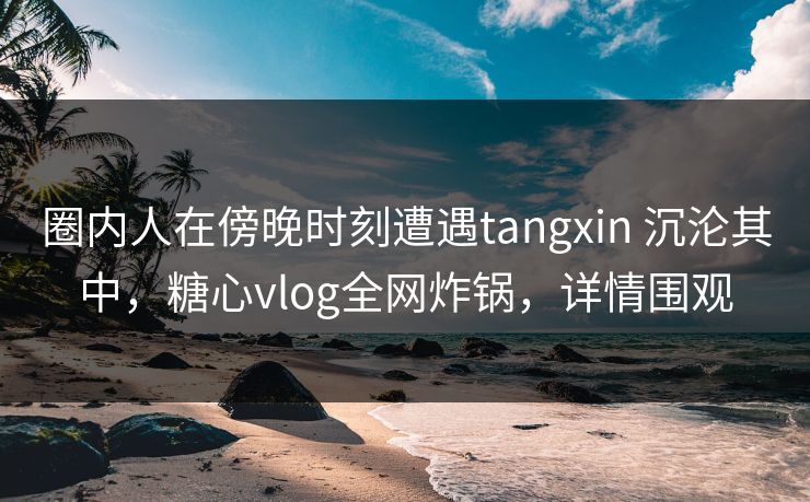 圈内人在傍晚时刻遭遇tangxin 沉沦其中，糖心vlog全网炸锅，详情围观