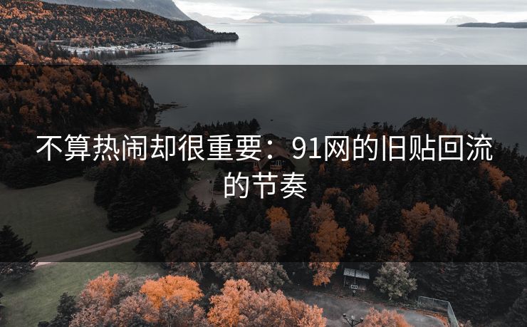 不算热闹却很重要：91网的旧贴回流的节奏
